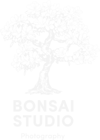 Bonsai - Studio fotografico Milano